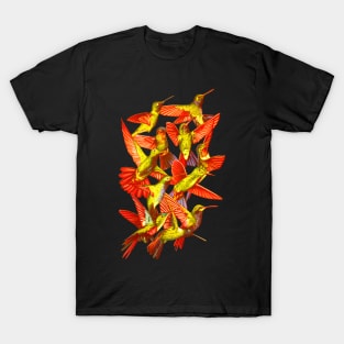 Hummingbird Dance in Sharpie (FireBird Edition) T-Shirt